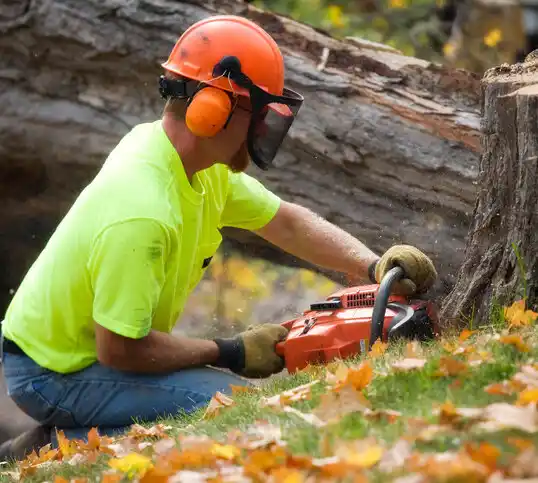 tree services Long Prairie